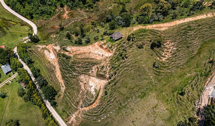 Los lotes de El Cristalino entre bosque y quebradas
