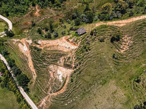 Bosque y quebrada en los lotes de El Cristalino