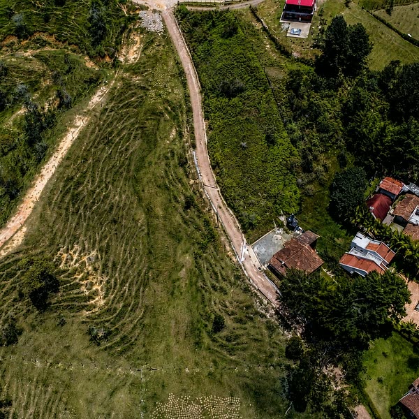 Los lotes de El Cristalino entre bosque y cascadas