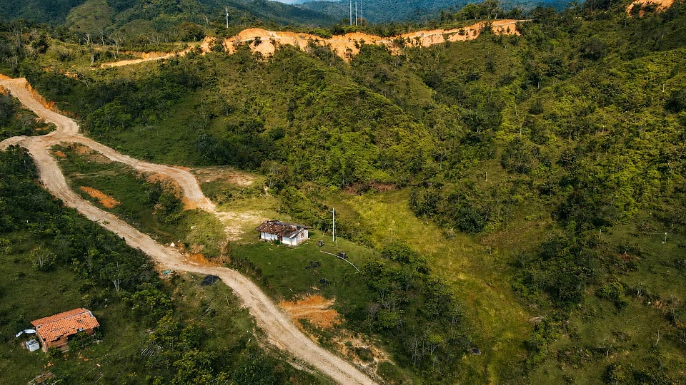 El camino de acceso a Santa Rita cruzando el verde, con una casa al fondo