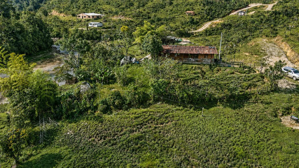 Casa de techo de barro entre bosque y cultivos, junto al agua
