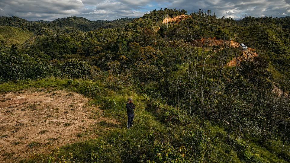 Una persona de pie en lo alto de un lote de Santa Rita, con la montaña alrededor