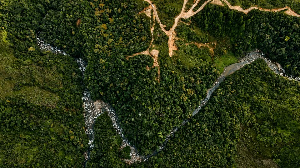 Quebrada de piedra bajando entre el bosque de Santa Rita
